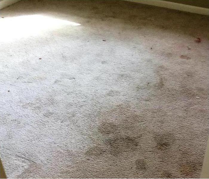 dirty and stained carpet