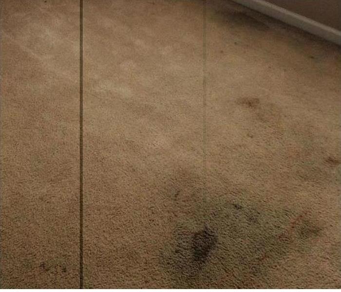 stains in carpet